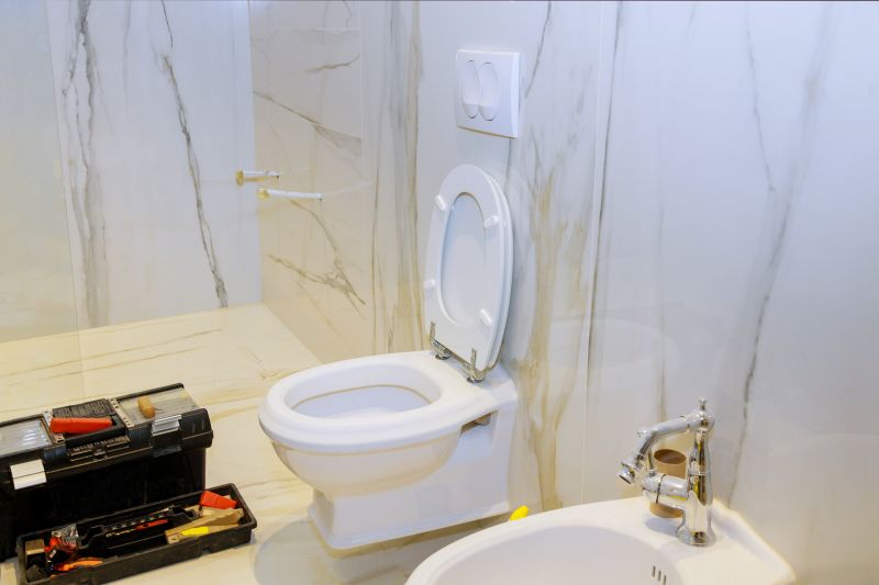 Modern Toilet Designs